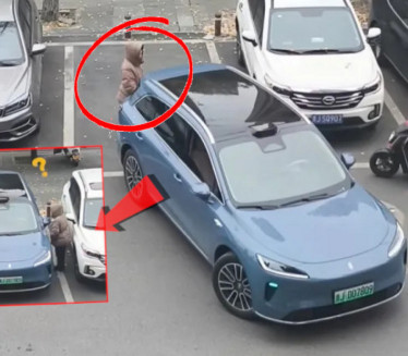 ХИТ ВИДЕО! Жена чувала паркинг место, возач је НАДМУДРИО