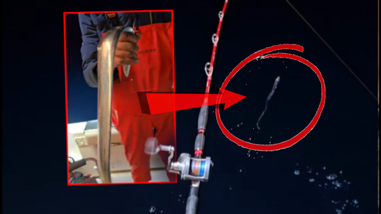 РИБАРИ У ШОКУ: Уловили чудног морског СТВОРА у Јадрану