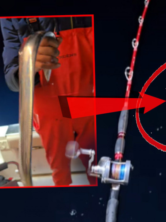 РИБАРИ У ШОКУ: Уловили чудног морског СТВОРА у Јадрану