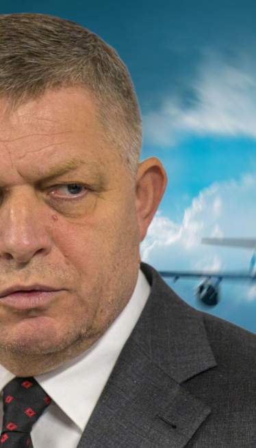 FICOV AVION IMAO NESREĆU: "Više nije u stanju da leti" (FOTO)