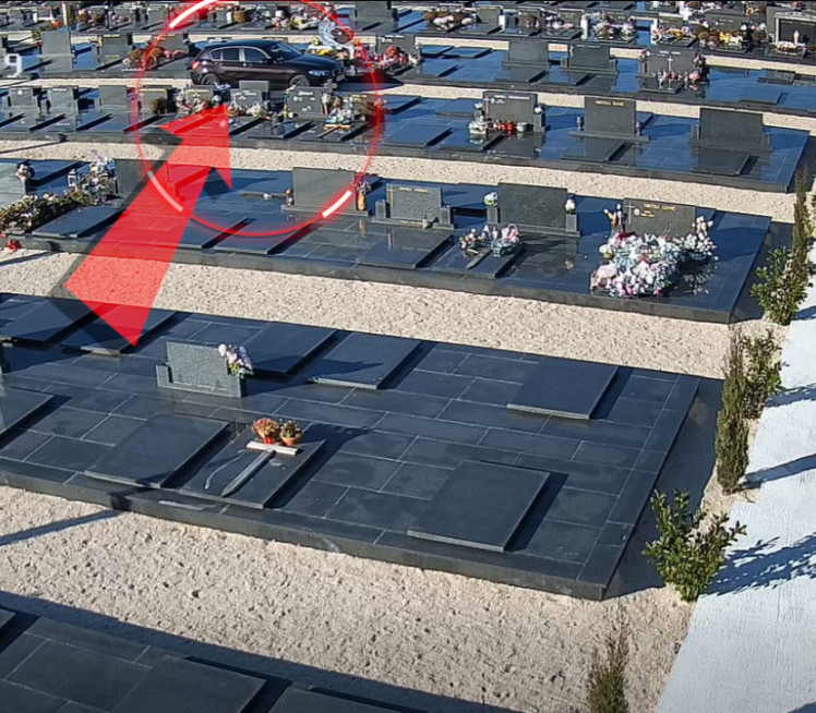 "НИ ОБРАЗА, НИ СТИДА" BMW-ом по грољу - нација бесна