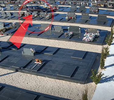 "NI OBRAZA, NI STIDA" BMW-om po grolju - nacija besna