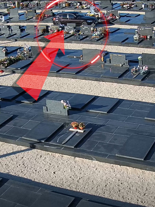 "НИ ОБРАЗА, НИ СТИДА" BMW-ом по грољу - нација бесна