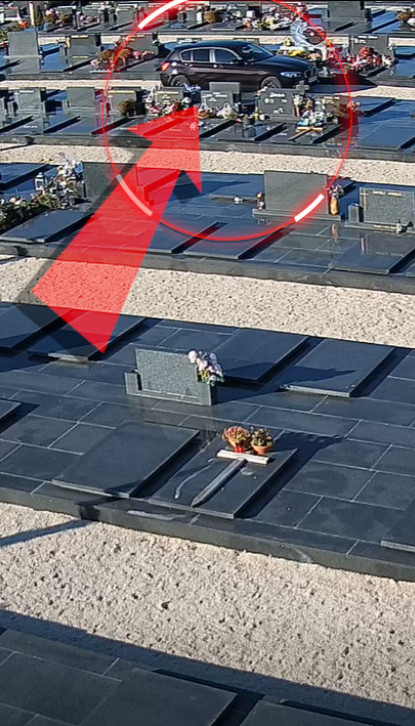 "NI OBRAZA, NI STIDA" BMW-om po grolju - nacija besna