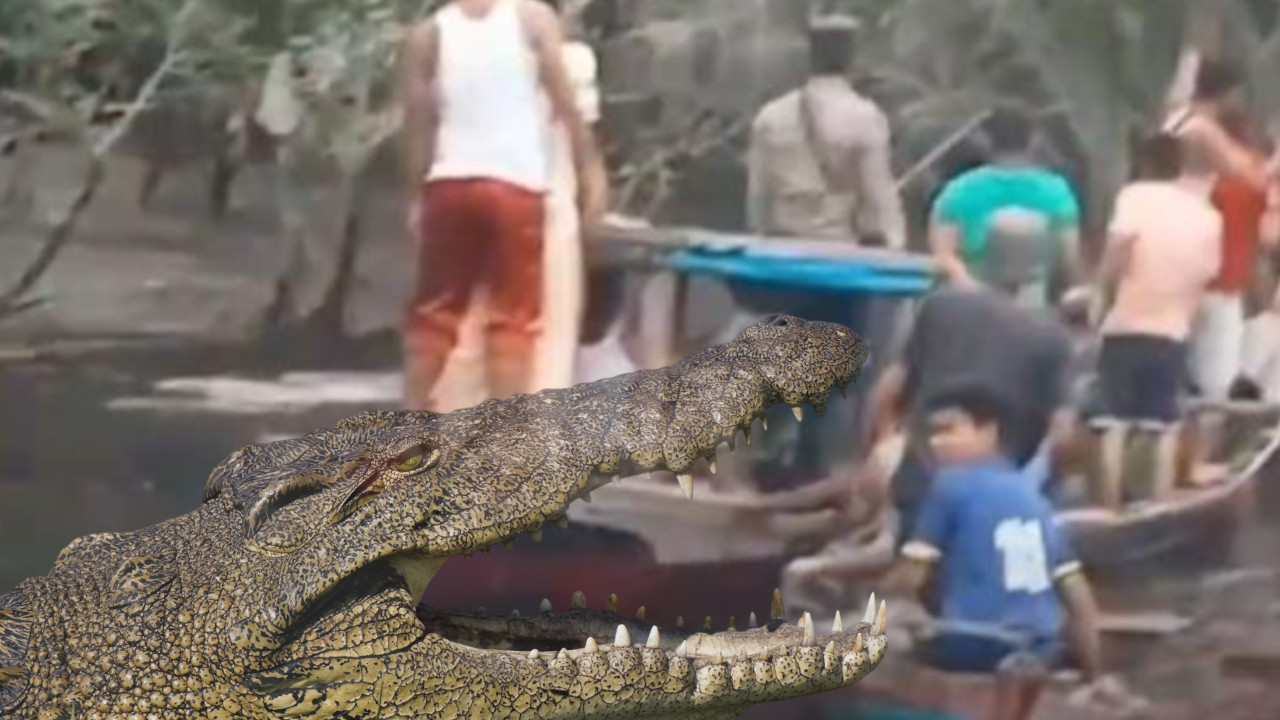 HOROR: Krokodil ubio dečaka (10) - čeljusti ga odvukli u smrt