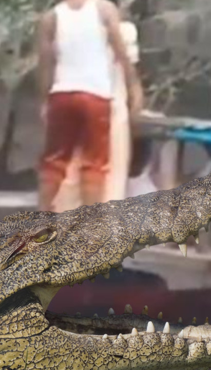 HOROR: Krokodil ubio dečaka (10) - čeljusti ga odvukli u smrt