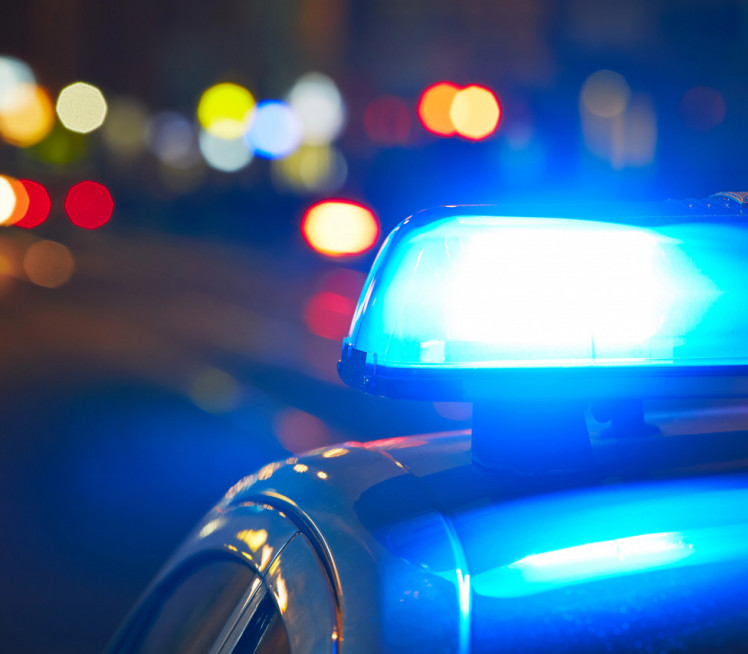 ДРОГИРАН КРИЈУМЧАРИО ЉУДЕ: Закуцао се у дрво са мигрантима