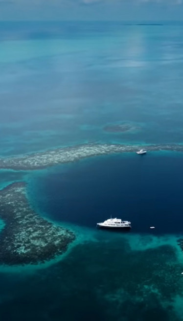 ВЕЛИКА ПЛАВА РУПА: Научници у страху после испитивања ДНА