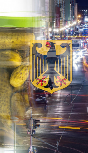 Mi BACAMO rasol krastavaca,Nemci REŠAVAJU problem saobraćaja