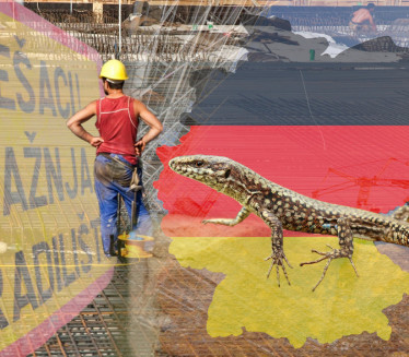 ИНВЕСТИТОРИ ЉУТИ Гуштери "одлучују" где ће се градити