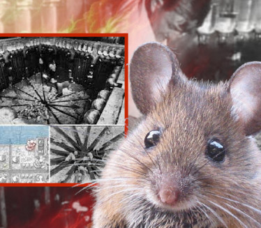 EKSPERIMENT "SVEMIR 25": Trajao 1588 dana, završio se KOBNO