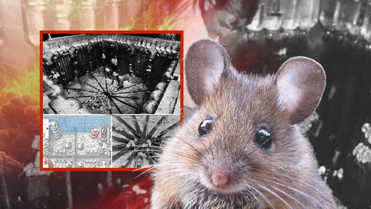 EKSPERIMENT "SVEMIR 25": Trajao 1588 dana, završio se KOBNO