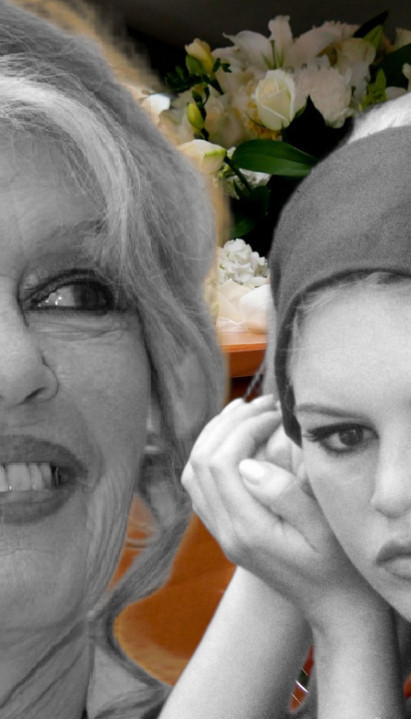 НЕЋЕ ЈОЈ ИСПУНИТИ ЖЕЉУ: Где ће почивати Брижит, сахрана 7.1.