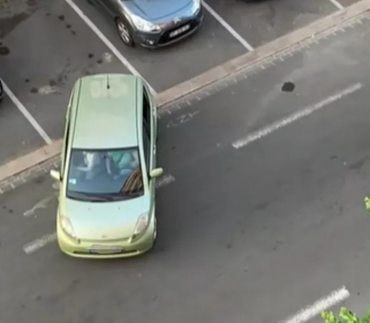 "DOBIO DOZVOLU NA LUTRIJI?!" Snimak parkiranja obišao svet