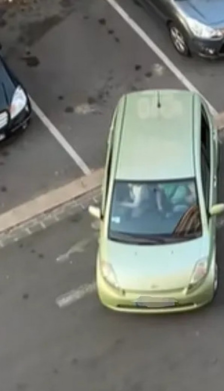 "ДОБИО ДОЗВОЛУ НА ЛУТРИЈИ?!" Снимак паркирања обишао свет