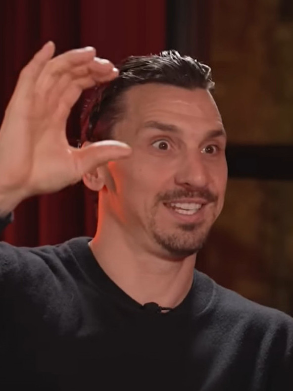 IBRIN MATERNJI JEZIK? U Bosni mu žestoko zamerili zbog izjave