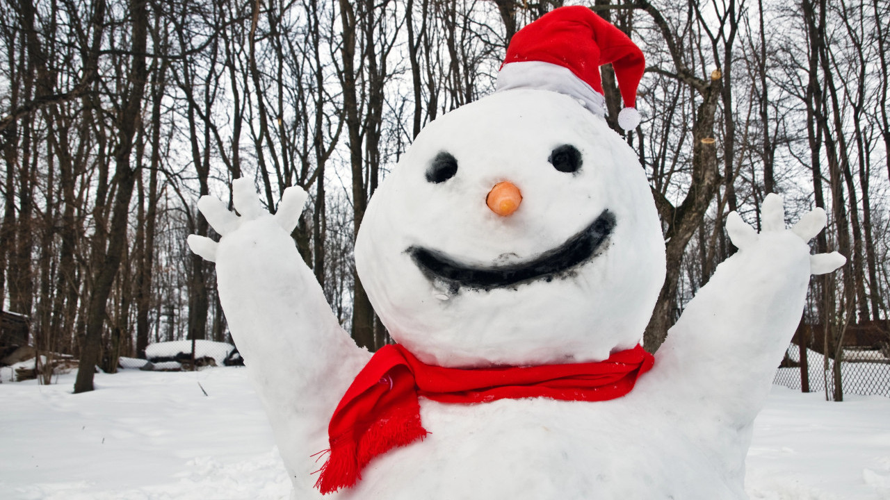 BIZARAN INCIDENT: Nepoznati muškarac ukrao Sneška Belića