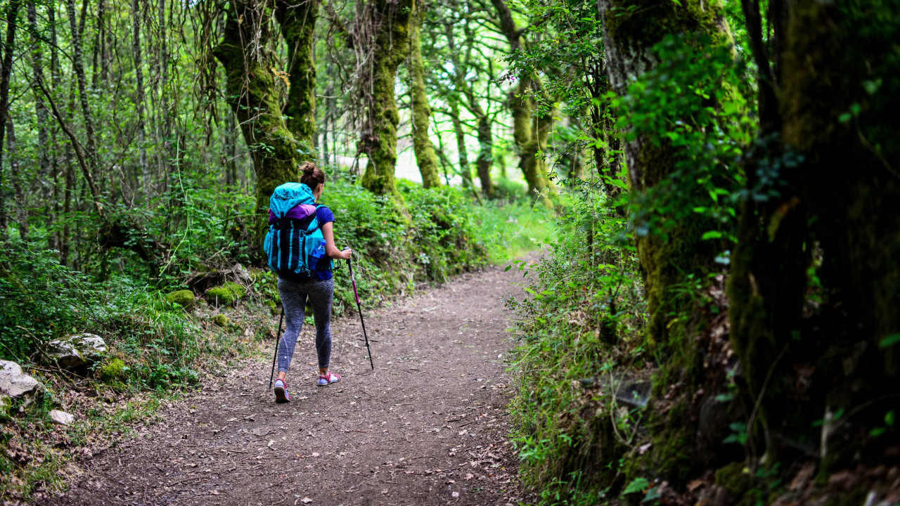 250.000 КОРАКА ЗА 7 ДАНА: Ефекат ходања га ШОКИРАО