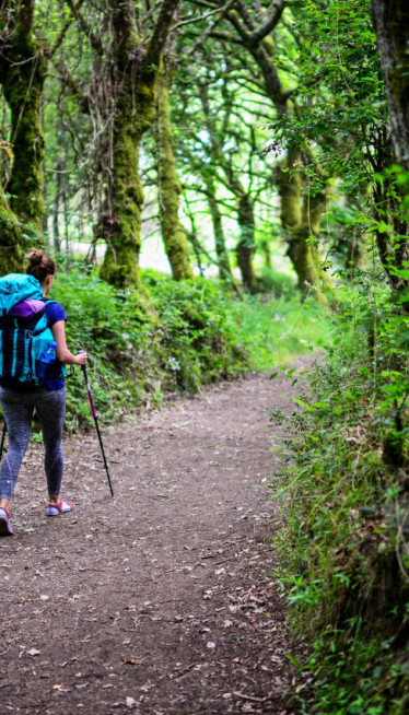 250.000 KORAKA ZA 7 DANA: Efekat hodanja ga ŠOKIRAO
