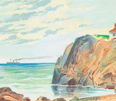 OBORI REKORD OD 15 SEKUNDI: Nađi 4 životinje