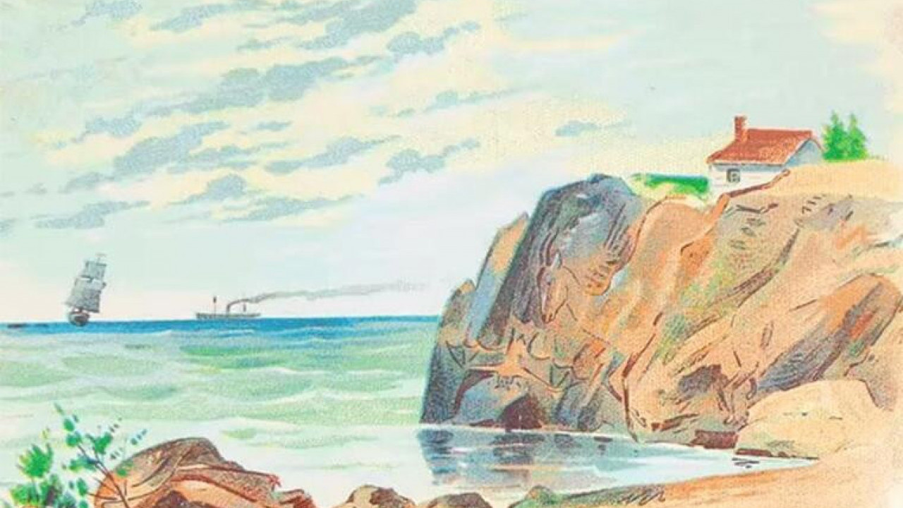 OBORI REKORD OD 15 SEKUNDI: Nađi 4 životinje