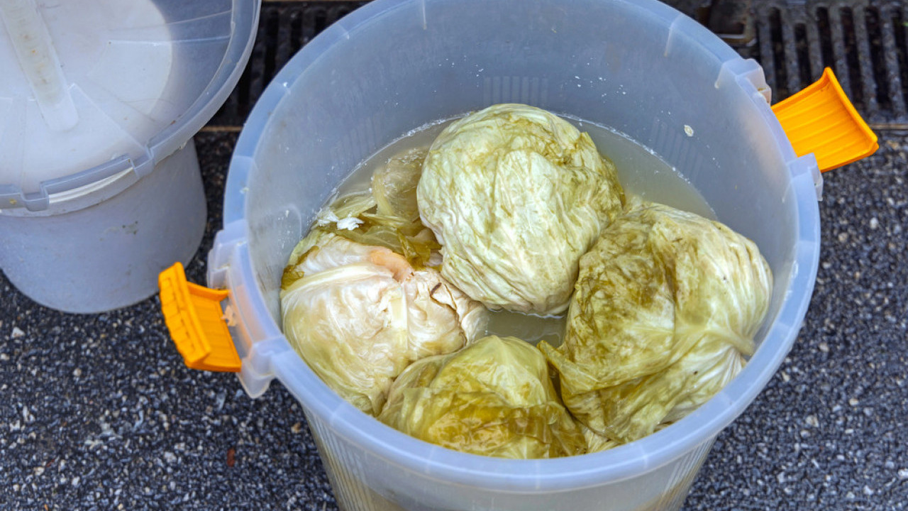 Šta se dešava sa telom ako svako jutro popijemo ČAŠU RASOLA?