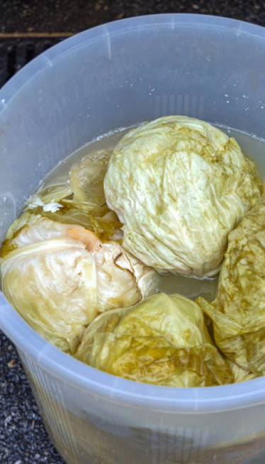 Šta se dešava sa telom ako svako jutro popijemo ČAŠU RASOLA?