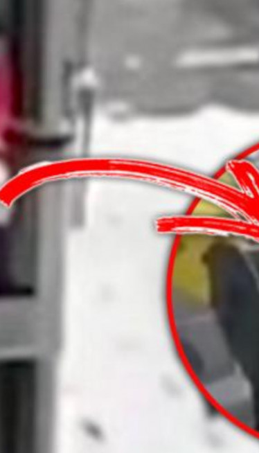 BEZ KOSKE: Bacila đubre sa terase u KONTEJNER