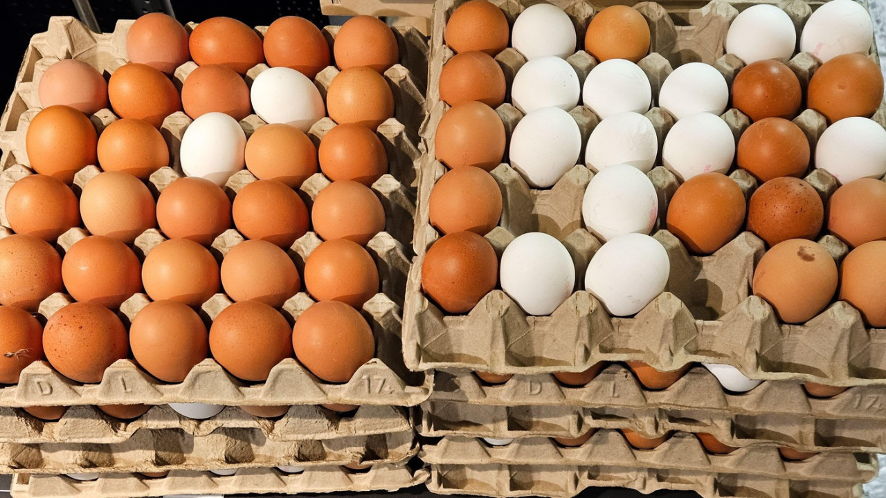 СМЕЂА И БЕЛА ЈАЈА: Постоји ли разлика у квалитету