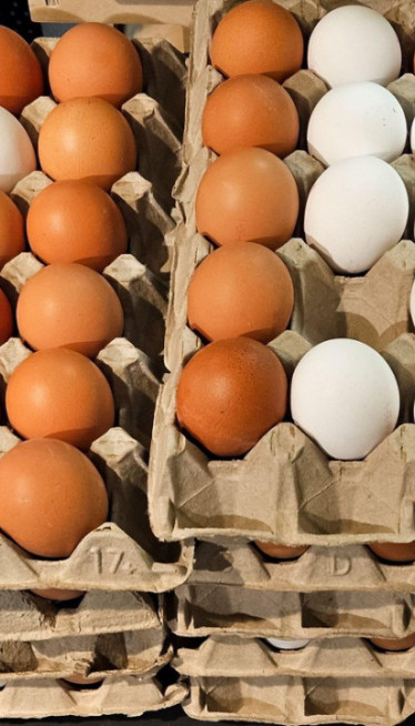 СМЕЂА И БЕЛА ЈАЈА: Постоји ли разлика у квалитету