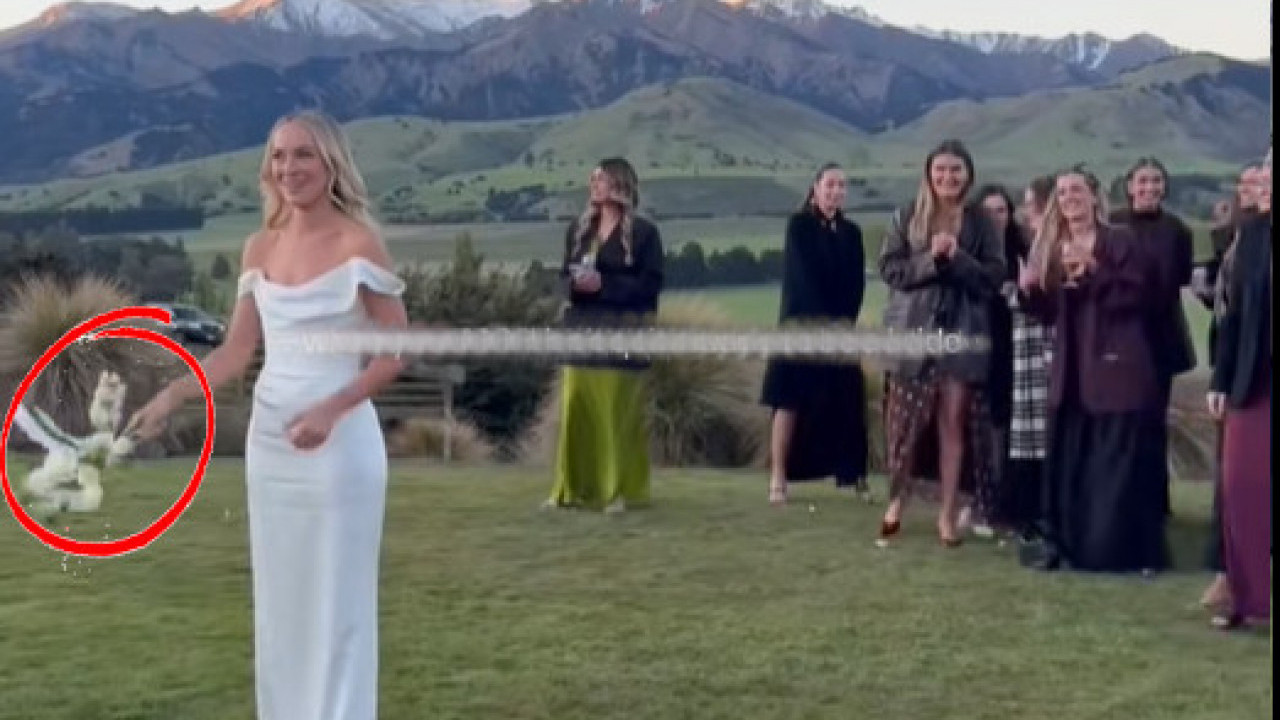 МЛАДА БАЦИЛА БИДЕРМАЈЕР: Уследила је урнебесна сцена (ВИДЕО)