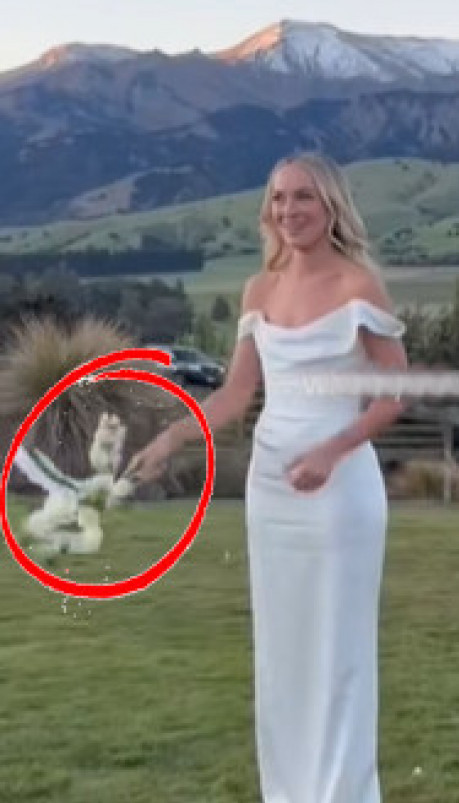 МЛАДА БАЦИЛА БИДЕРМАЈЕР: Уследила је урнебесна сцена (ВИДЕО)