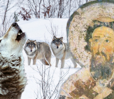 СУТРА ЈЕ СВЕТИ САВА: Ево зашто се верује да је ВОЂА ВУКОВА