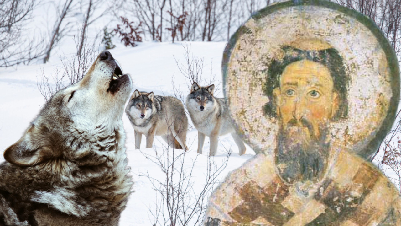 СУТРА ЈЕ СВЕТИ САВА: Ево зашто се верује да је ВОЂА ВУКОВА