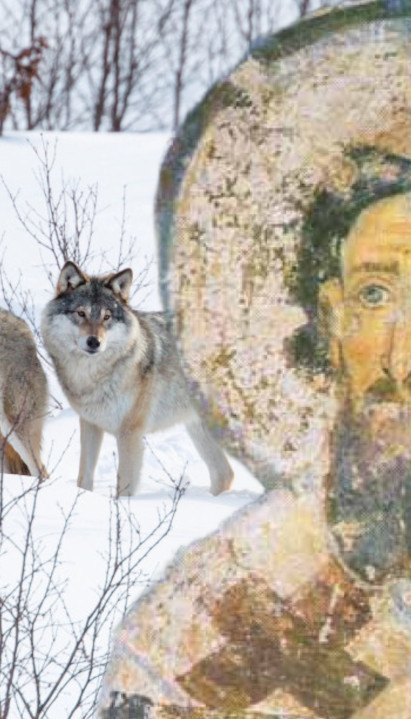 СУТРА ЈЕ СВЕТИ САВА: Ево зашто се верује да је ВОЂА ВУКОВА