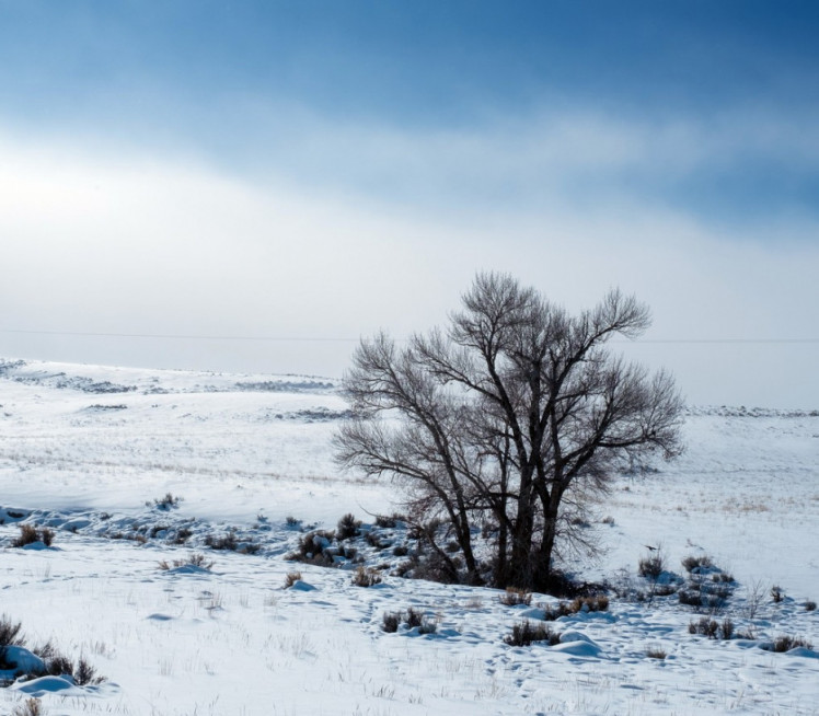 СНЕГ ЗА СРЕТЕЊЕ: Када стиже озбиљно захлађење
