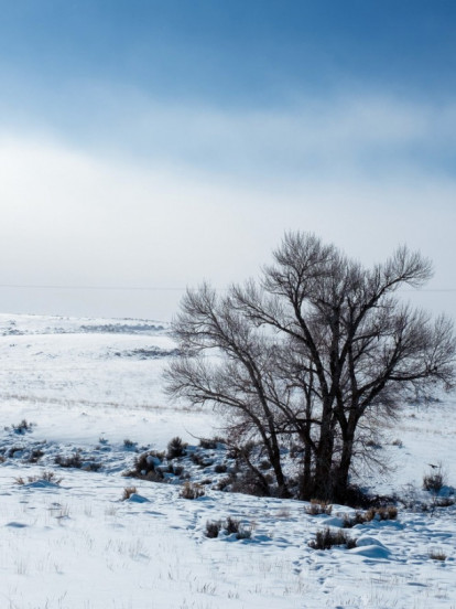 СНЕГ ЗА СРЕТЕЊЕ: Када стиже озбиљно захлађење