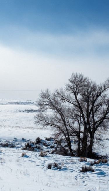 OD PONEDELJKA SE KOMPLIKUJE: Detaljna prognoza RHMZ za februar