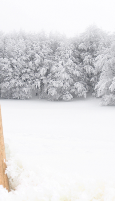 RHMZ NIŽE UPOZORENJA: Skoro cela Srbija NA UDARU