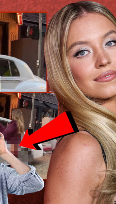 BEZOBRAZNA SVINI: U centru grada u tangama i brusu (VIDEO)