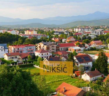 POD TREBJESOM? Prase ljubimac u Nikšiću - šeta ga na povocu