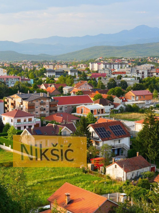 ПОД ТРЕБЈЕСОМ? Прасе љубимац у Никшићу - шета га на повоцу