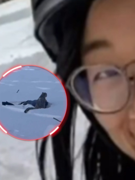 Ovo je SELFI žene pre nego što ju je napao snežni leopard