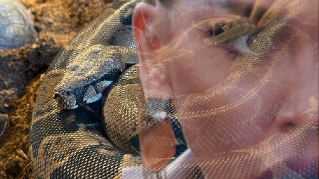 STRAŠNI LJUBIMAC: Naša pevačica gaji PITONA