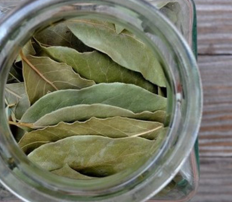 Шта се дешава у организму кад у исхрани користимо ЛОВОР