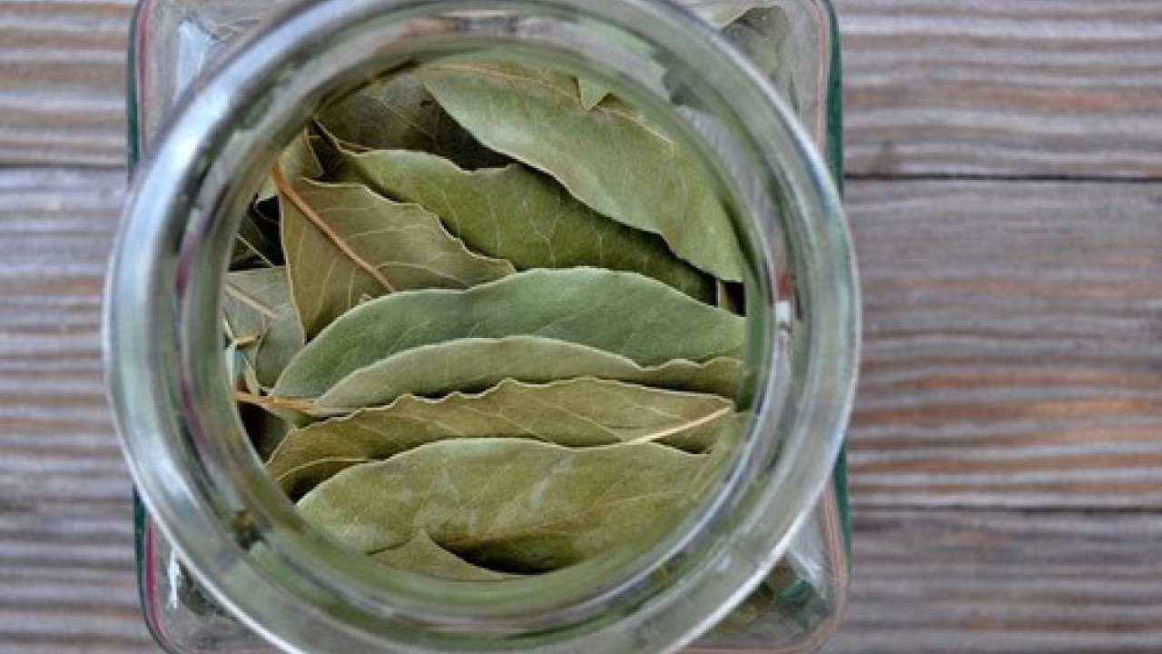 Шта се дешава у организму кад у исхрани користимо ЛОВОР