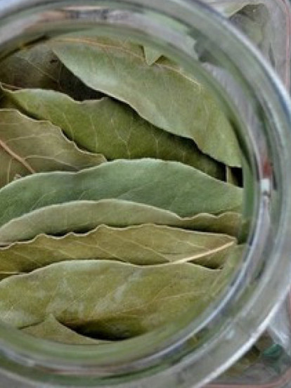 Шта се дешава у организму кад у исхрани користимо ЛОВОР