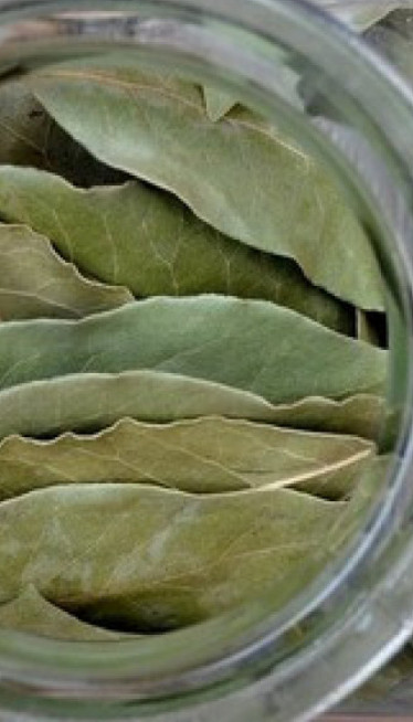 Šta se dešava u organizmu kad u ishrani koristimo LOVOR