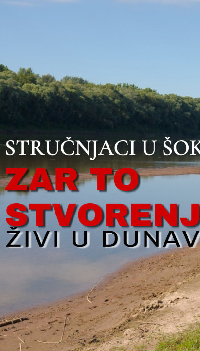 ŠOK ULOV U BAČKOJ: Primerak ribe završio na ispitivanju FOTO
