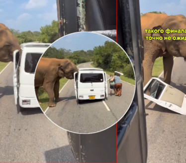 RUSI IMALI ODMOR IZ PAKLA: Slon težak tri tone odvalio vrata